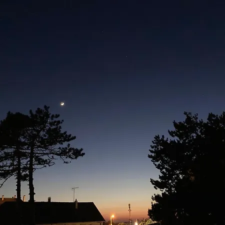 Les Alises * Merville-Franceville-Plage