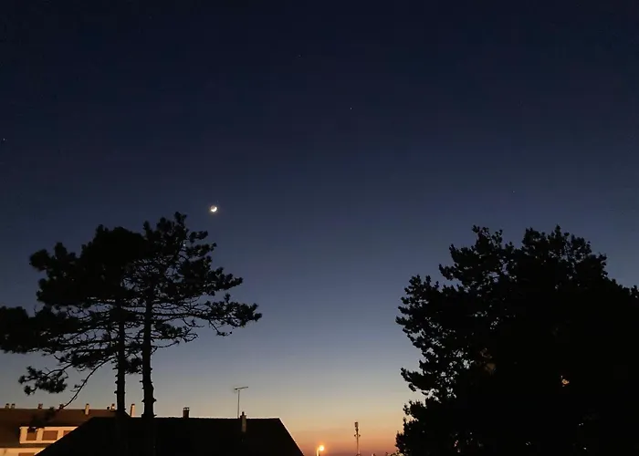 Les Alises * Merville-Franceville-Plage